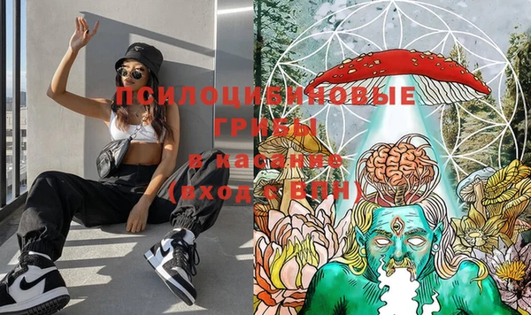 прущая мука Кулебаки