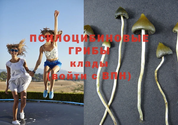 прущая мука Кулебаки