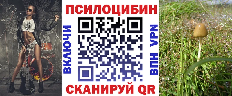 Галлюциногенные грибы MAGIC MUSHROOMS  что такое   Лосино-Петровский 