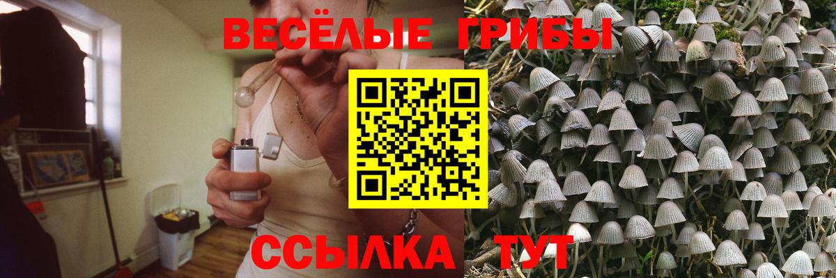 Галлюциногенные грибы Cubensis Лосино-Петровский