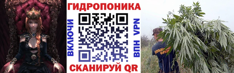 Конопля ГИДРОПОН  цены   Лосино-Петровский 